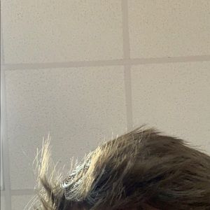 Meet your Posher, Jacob